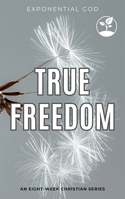 True Freedom is an 8-week series that helps believers find freedom from addiction through Christ. Each week explores topics like repentance, overcoming temptation, and embracing God’s healing, guiding believers on a path to break chains and live in the liberty that only Christ can provide.